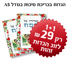 1+1 ������ ������ ����� �- 19.90 ��